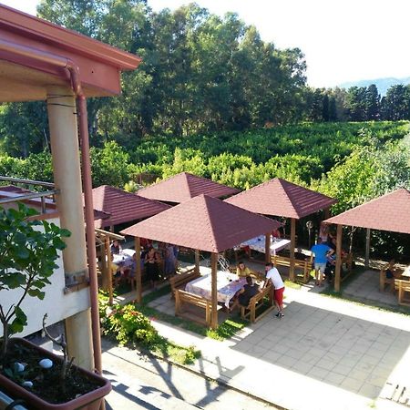 B&B Pineta Mare ลาเมเซ แตร์เม ภายนอก รูปภาพ